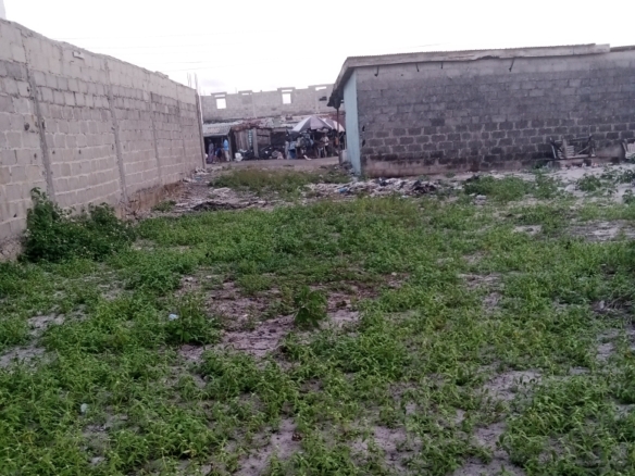 IMG 20240917 180247 284