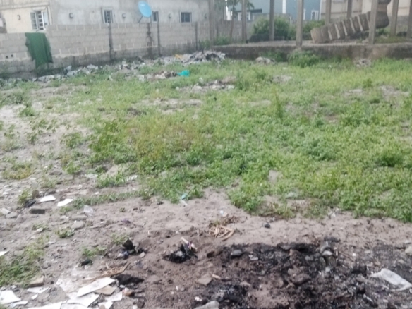 IMG 20240917 180357 817