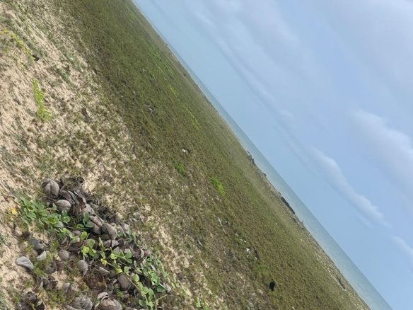 Residential Land