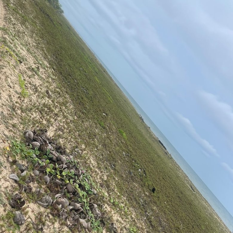 Residential Land