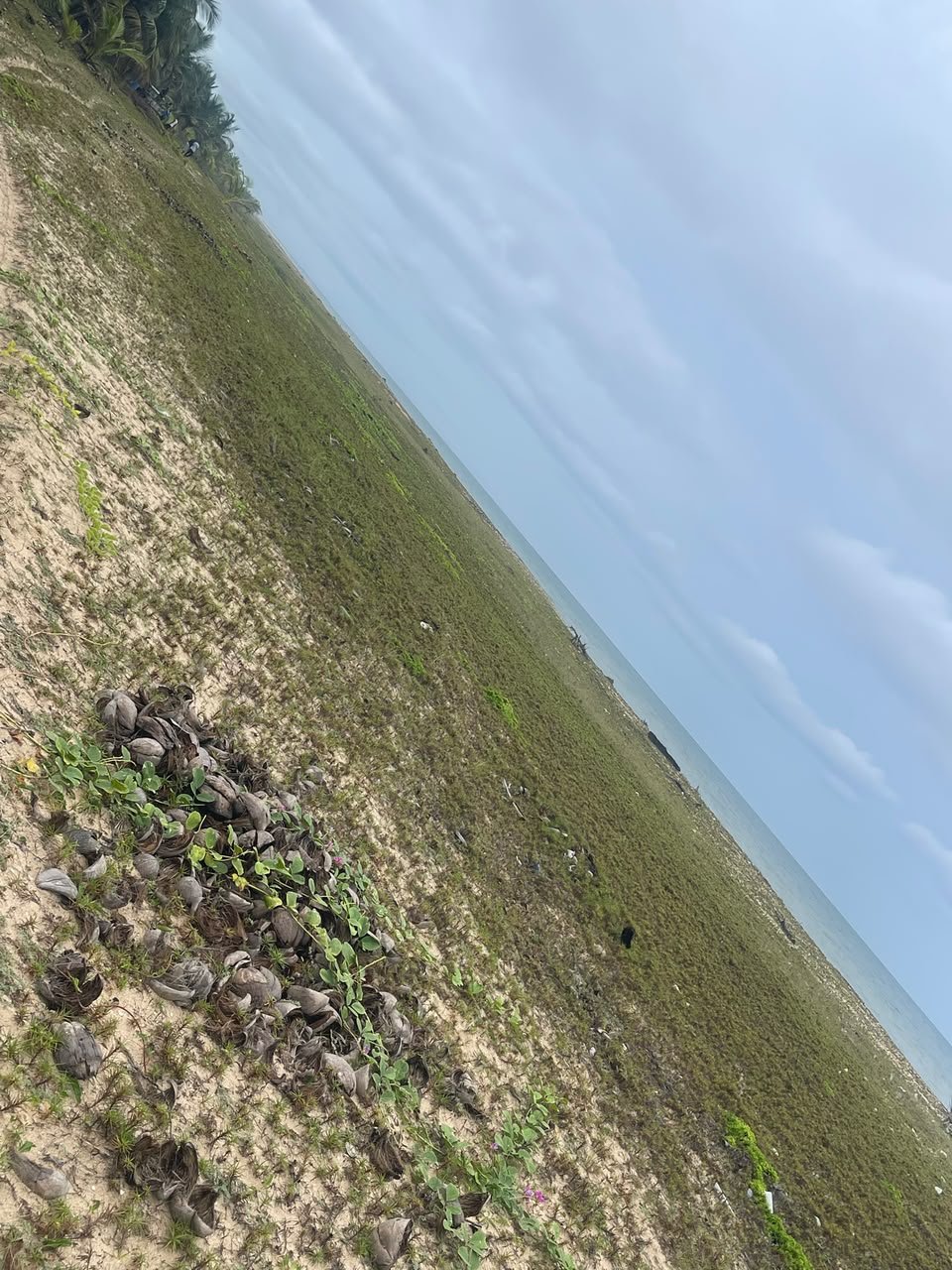 WhatsApp Image 2026-10-15 at 11.05.33 AM (1) Residential Land